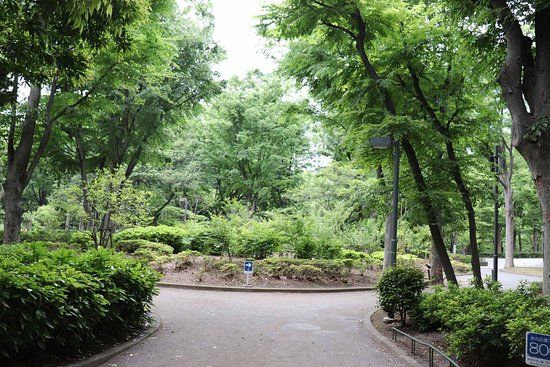 Parco centrale di Shinjuku